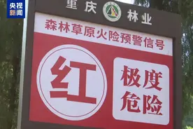 村民丢弃烟头引发森林火灾，官方通报：刑拘！严禁进入！图片