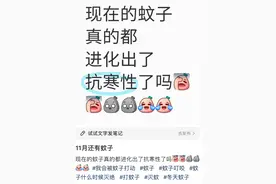 啊啊啊都冬天了，为什么最近还这么多蚊子？！图片