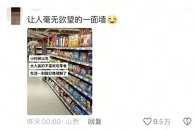 已经不爱吃零食了？网友：质疑大人，理解大人，成为大人图片