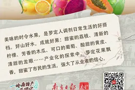 佳果芬芳，让城市好甜 | 岭南特产看罗定果图片