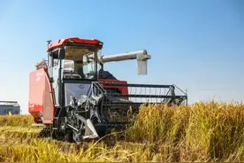 只闻机器响，不见农人忙！“智慧农业”绘就常州好“丰”景图片