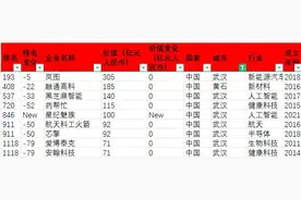 全球独角兽，黄石这家企业上榜！图片