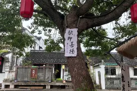 新场古镇，在“申遗”中转型图片