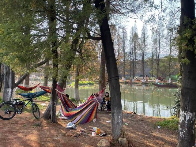 把“家”搬进风景里 在滇池畔守岁迎新