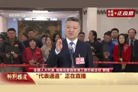 蔡强代表：海南免税新增即购即提 封关后适用“零关税”商品种类将大大增加图片