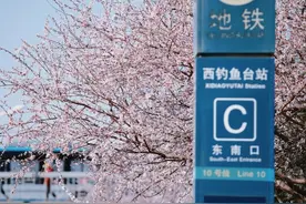 出站就是春天，北京海淀这个地铁口刷屏了图片