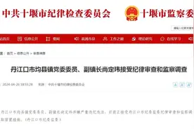 湖北丹江口市均县镇党委委员、副镇长尚定玮被查并被采取留置措施图片