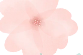 春有约，花不误。我在磻溪茶山等风也等你~图片