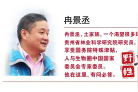 野性贵州 有问必答丨在深山中含笑，在寂静中芬芳……图片