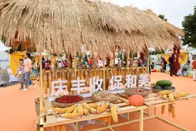 农业农村部：丰收节将开展优质农产品线上促销，发放消费券图片