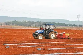 宣威市“五良两化”再造万亩良田图片