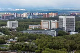 俄罗斯：北约和乌克兰企图在叙利亚使用化武并嫁祸俄叙图片