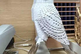 职场摸鱼新潮流？社交媒体上掀起“折纸减压”风图片