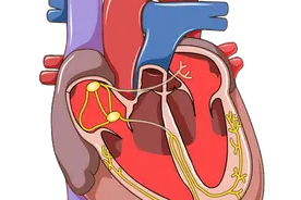 心事“重”，莫惊慌！重获“心”生有妙招！图片
