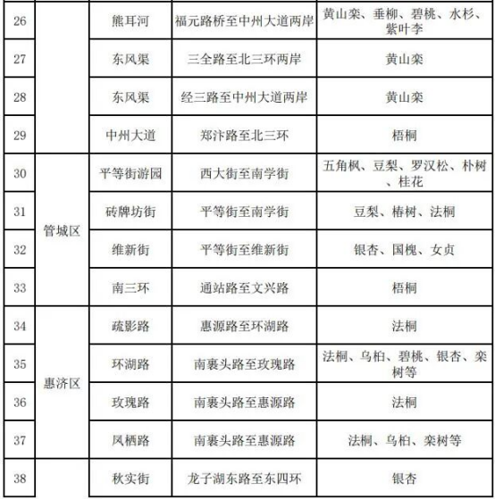 郑州这54条落叶不扫景观道，速来打卡！