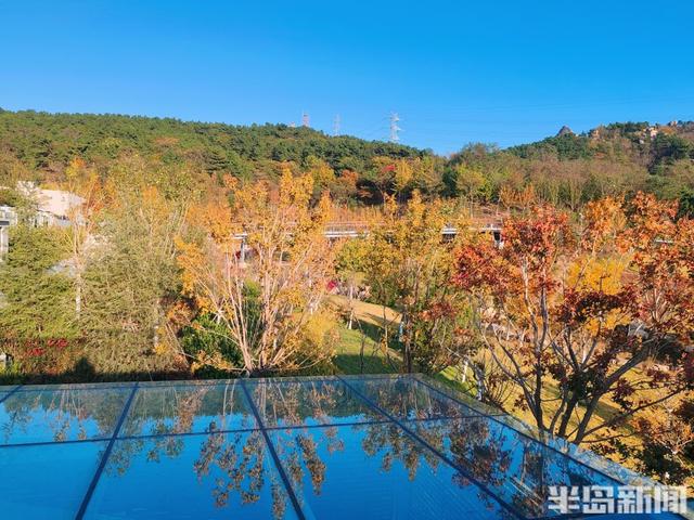 浮山叶斑斓 赏秋要趁早