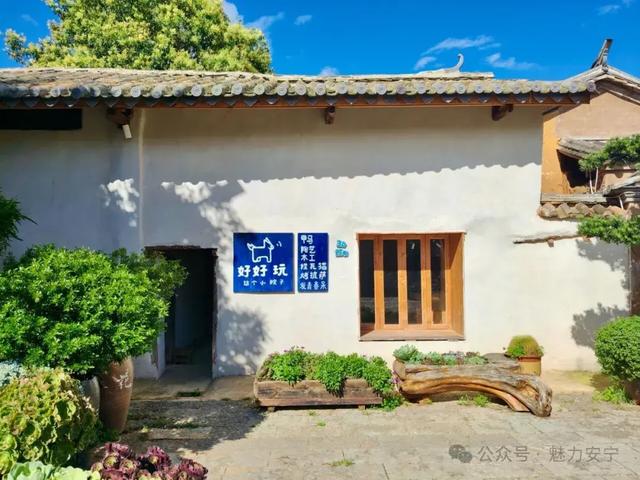 来安宁雁塔村，赏花巷、捏瓦猫！