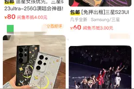 “山顶”也高清，靠演唱会租手机月入过万？这究竟是一门什么样的生意图片