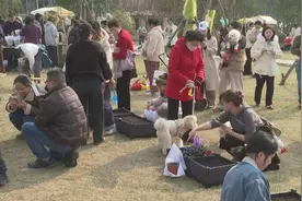 宠物聚会花式“整活”！九棵树萌宠乐园体验感“拉满”图片