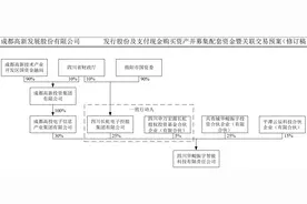 高新发展收购华鲲振宇生变，股价封死跌停，主力资金加速“出逃”图片