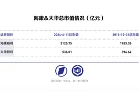 海康威视VS大华股份：从安防转战数字化转型，“马太效应”持续凸显？图片