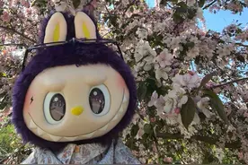 购买Labubu的年轻人：买不到直接在二手市场收，经济困难时卖掉一些可以缓解图片