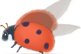 要下雨了！要降温了！春的气息还有多远？丨天气早知道图片