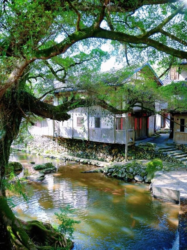 周末去“村”游！这个村人少景美，99%的福安人都不晓得~