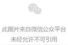 巴黎时装周忍不住对号入座的惊艳礼服，自动代入迪丽热巴、刘亦菲…图片
