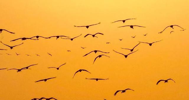 北京冬日限定“奇观”！就到月底！快冲→