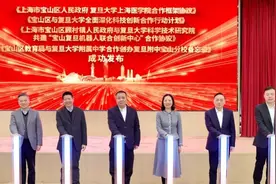 打造区校合作新范式：宝山将新建复旦附中宝山分校，就在……图片