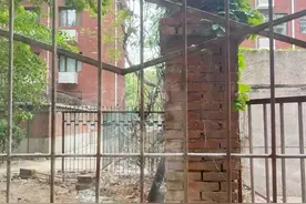 40年的“堵心墙”上开了“幸福窗”，阳光终于照到了居民家图片