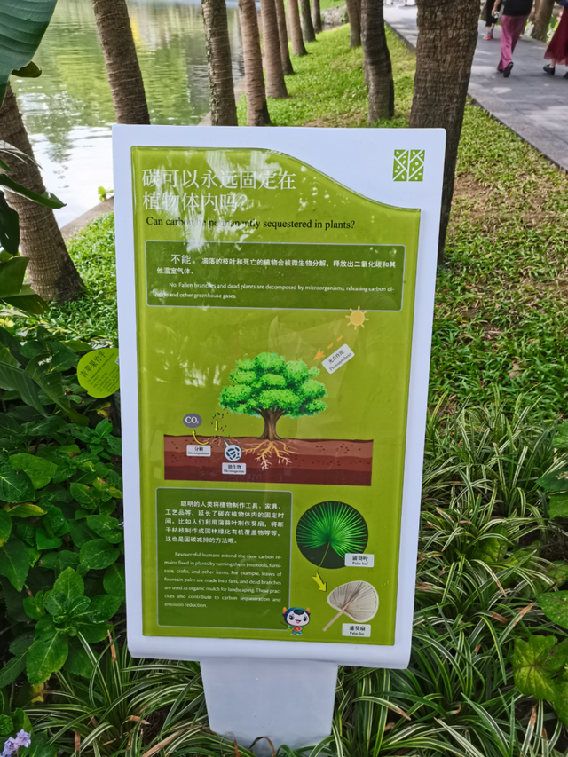 解闷必备！老城区徒步路线+2，探秘“百变”视觉廊道！