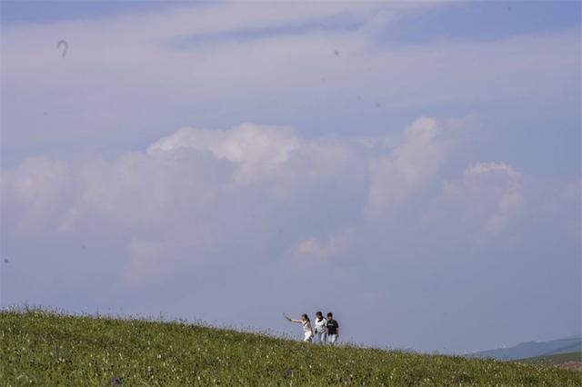 风景如画红松洼