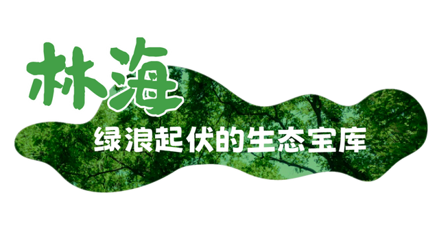 90%武汉人不知道，东湖藏着三色海！
