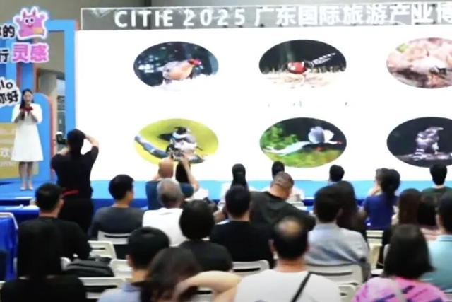 山海相约， “明”动湾区！三明文旅产品亮相广东旅博会