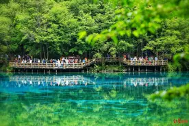 “人多但不挤”的九寨沟火上热搜，五一假期迎客超15万创新高，如何调度？图片