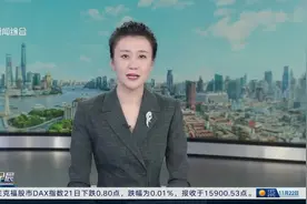 流浪猫泛滥 “今日闵行”App推出免费绝育手术套餐图片