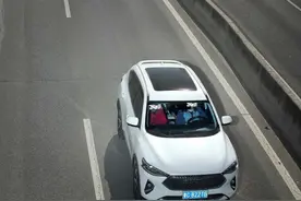 鲁C8****、鲁WH****、鲁N0****……德州交警最新曝光→图片