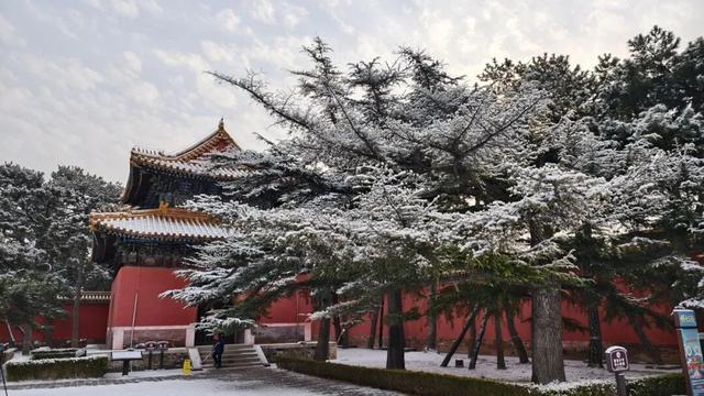 这是2026年昌平的第一场雪！