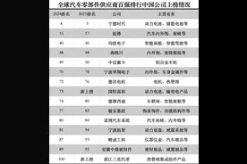 15家中国企业进入全球汽车零部件供应商百强榜，国轩高科和三花汽零首次入榜图片