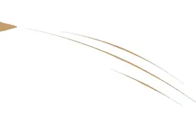 SUFE校园十大歌手花落谁家？图片