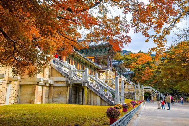 中国游客赴韩热度持续攀升 免签政策与秋季枫景提振旅游市场