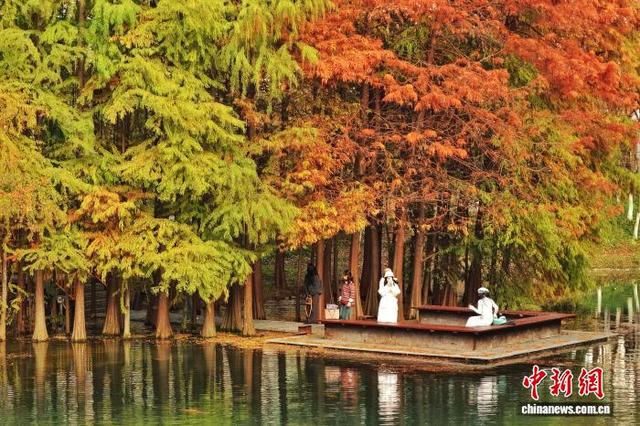 湖北宜昌：彩林碧水醉游人