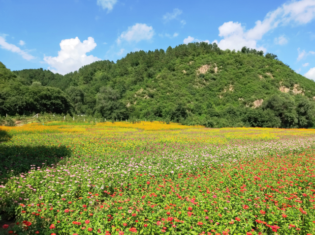 来怀柔“上春山”线路五：一路向北，邂逅春日山色与璀璨星河