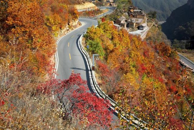 豫见两山 绿色答卷丨生态之旅——打卡“红旗渠的故乡”林州