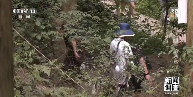 新闻调查丨户外探险事故频发 如何规范管理“越界”行为？