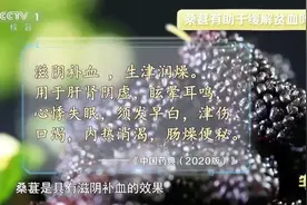 降血压、控血糖……春天吃它，让你气血足、睡得好、不显老→图片