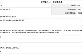 总投资24.59亿元！上海迪士尼又有大动作图片