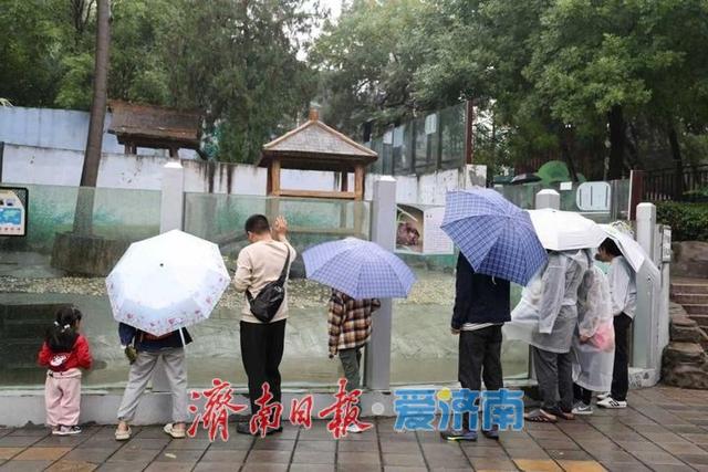 一年四季 泉在济南丨雨中秋色别样好 公园景区别有一番动人韵味
